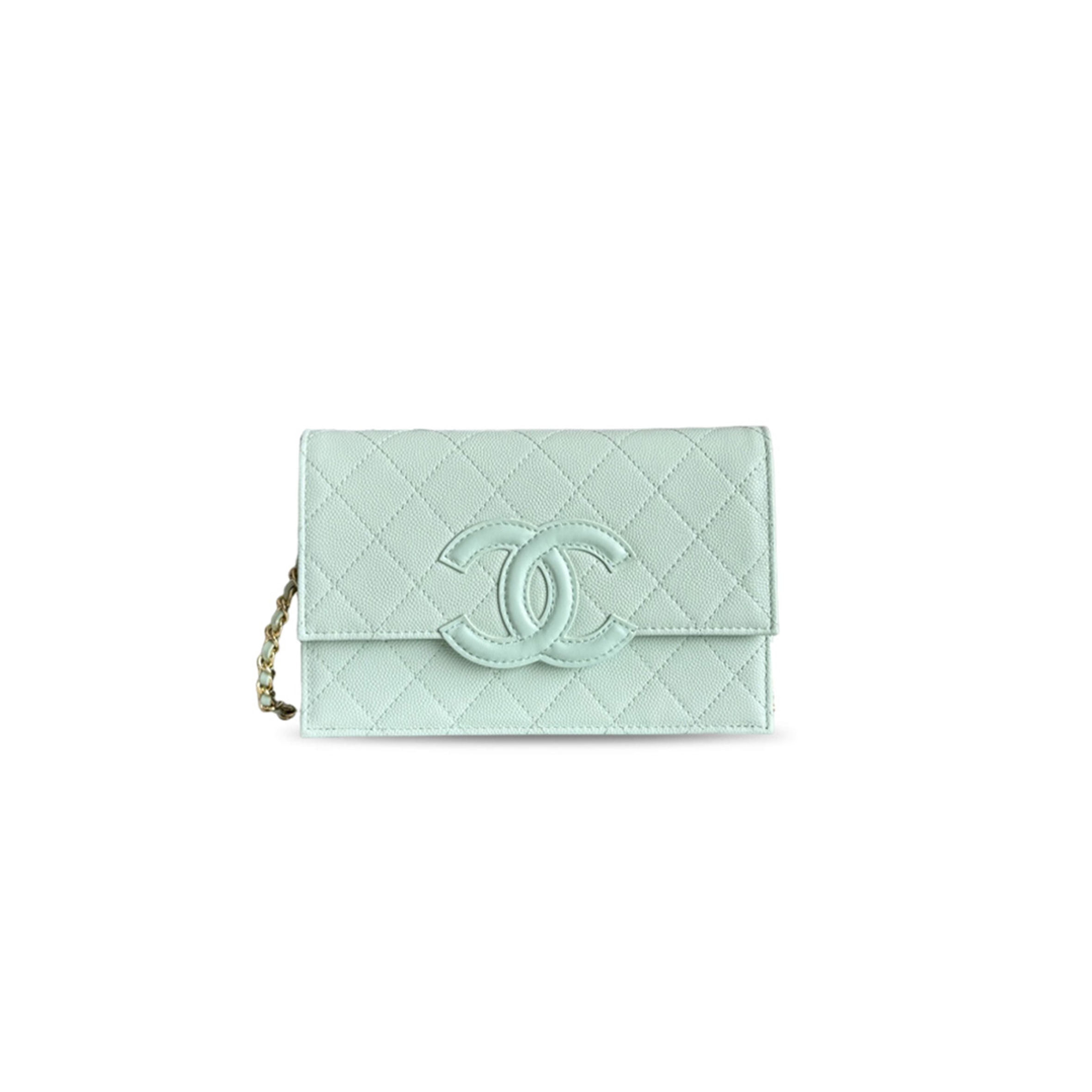 CHANEL MASTER WALLET ON CHAIN AP5455 (19*12*3.5cm)